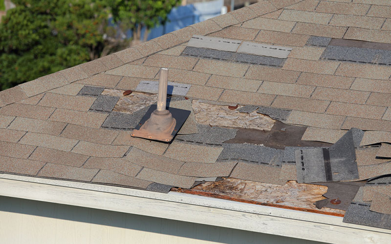 A roof in need of roof repair
